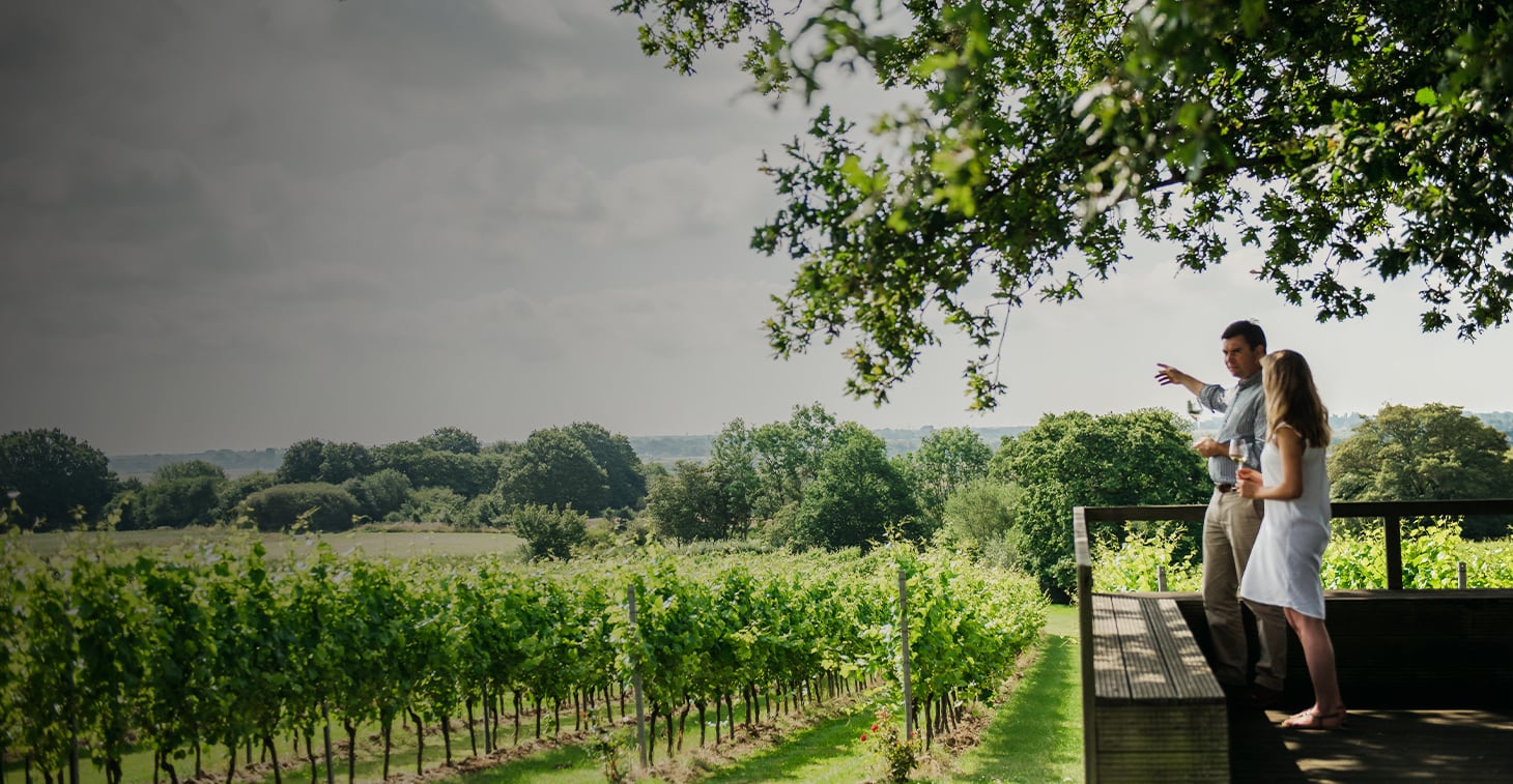 Gusbourne Membership testimonial