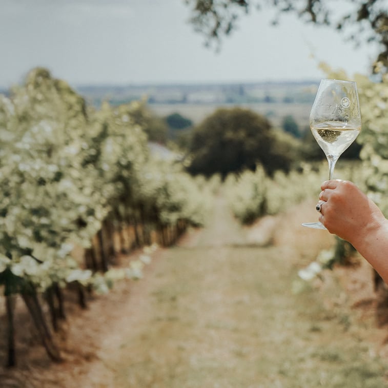 Gusbourne Membership testimonial